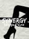 [The Synergy Series 01] • Synergy